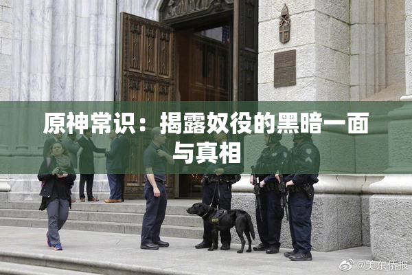 原神常识：揭露奴役的黑暗一面与真相
