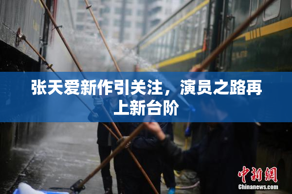 张天爱新作引关注，演员之路再上新台阶