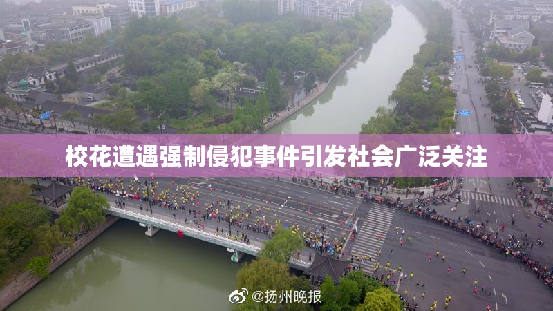 校花遭遇强制侵犯事件引发社会广泛关注