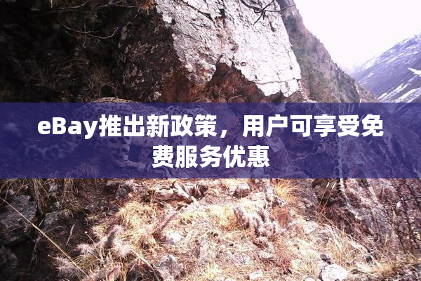 eBay推出新政策，用户可享受免费服务优惠