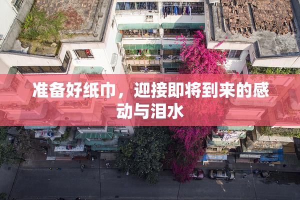 准备好纸巾，迎接即将到来的感动与泪水