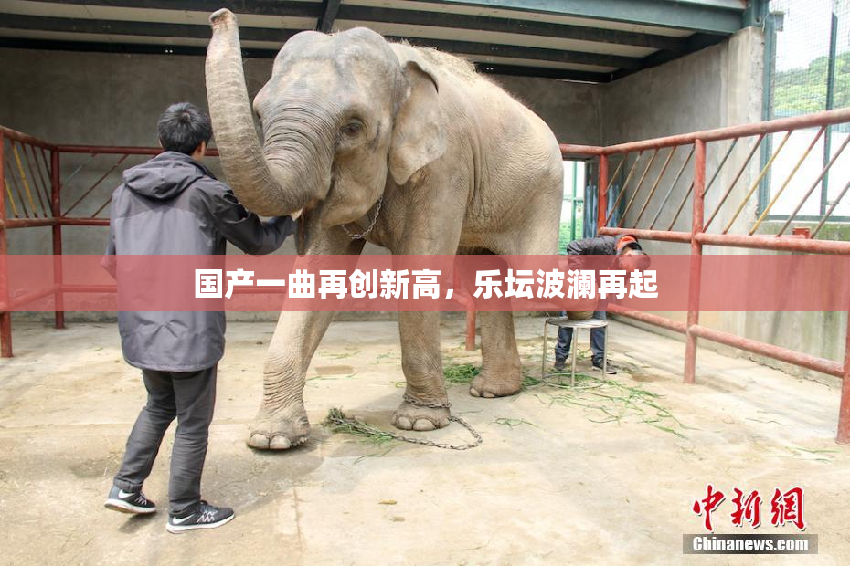国产一曲再创新高，乐坛波澜再起