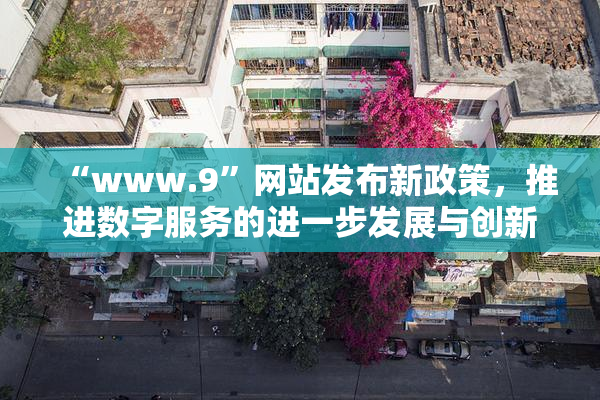 “www.9”网站发布新政策，推进数字服务的进一步发展与创新。