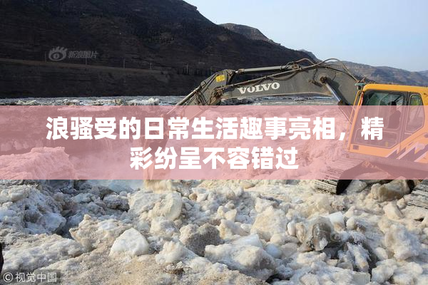 浪骚受的日常生活趣事亮相，精彩纷呈不容错过