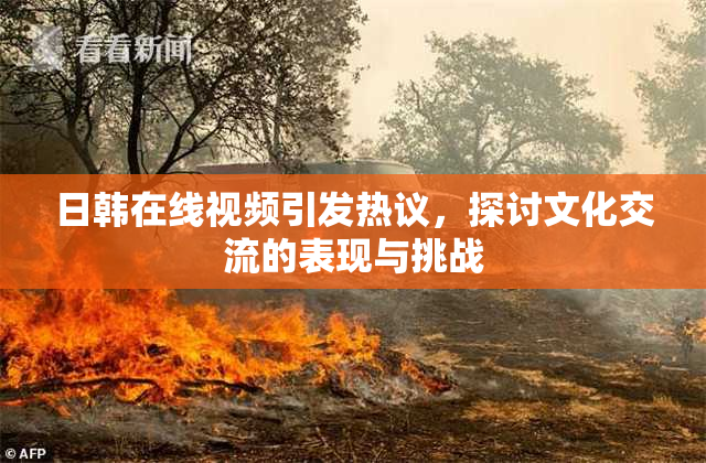 日韩在线视频引发热议，探讨文化交流的表现与挑战