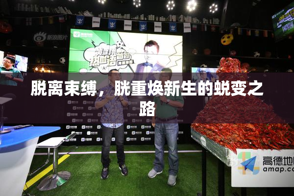 脱离束缚，胱重焕新生的蜕变之路
