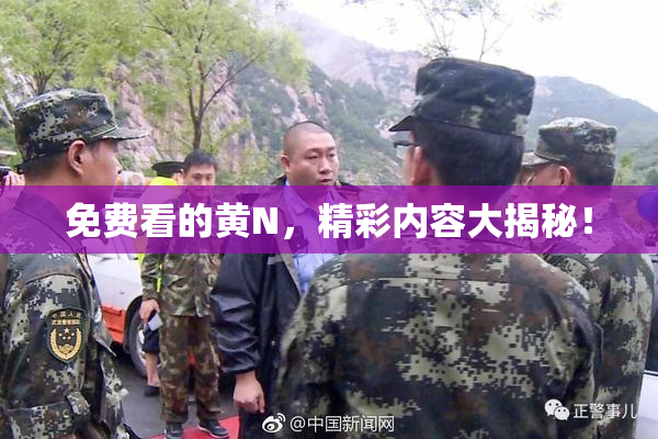 免费看的黄Ν，精彩内容大揭秘！