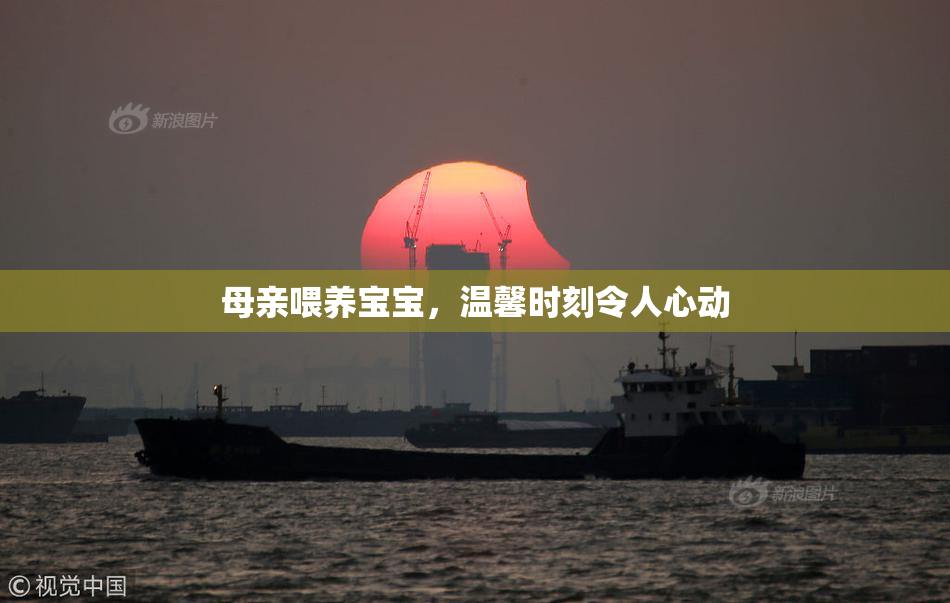 母亲喂养宝宝，温馨时刻令人心动