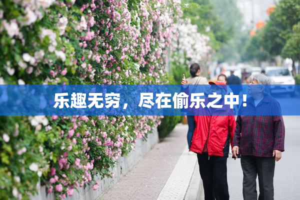 乐趣无穷，尽在偷乐之中！