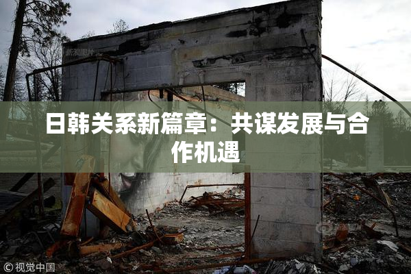 日韩关系新篇章：共谋发展与合作机遇