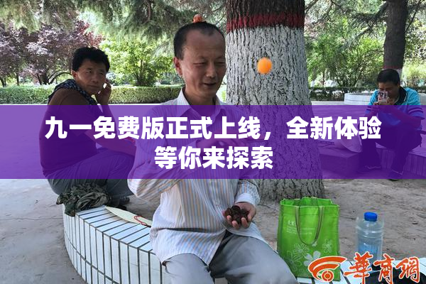九一免费版正式上线，全新体验等你来探索