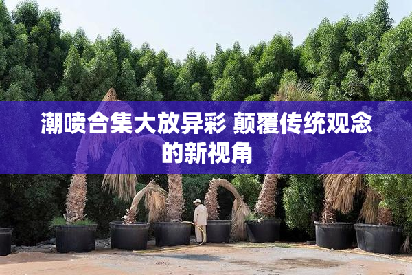 潮喷合集大放异彩 颠覆传统观念的新视角
