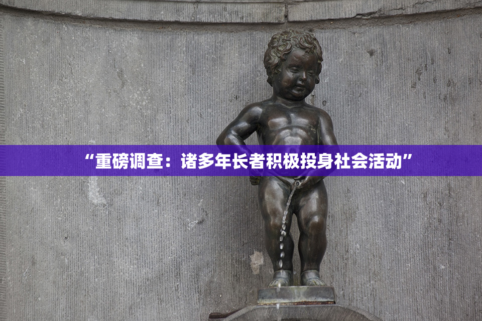 “重磅调查：诸多年长者积极投身社会活动”