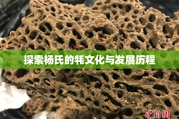 探索杨氏的牦文化与发展历程