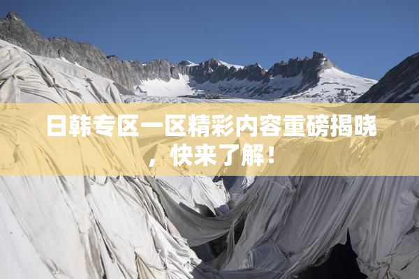 日韩专区一区精彩内容重磅揭晓，快来了解！