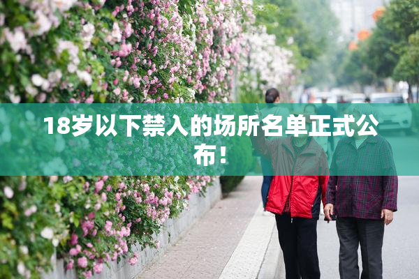 18岁以下禁入的场所名单正式公布！