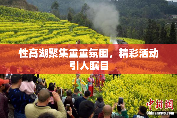 性高湖聚集重重氛围，精彩活动引人瞩目
