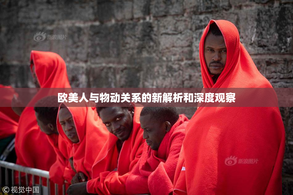 欧美人与物动关系的新解析和深度观察