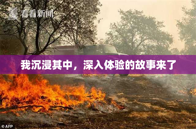 我沉浸其中，深入体验的故事来了