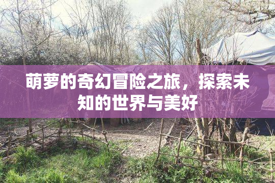 萌萝的奇幻冒险之旅，探索未知的世界与美好