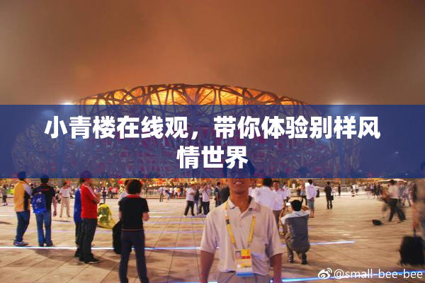 小青楼在线观，带你体验别样风情世界