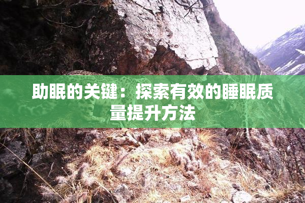 助眠的关键：探索有效的睡眠质量提升方法