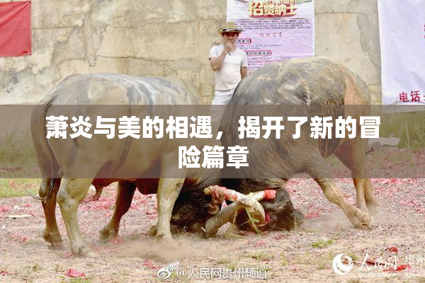 萧炎与美的相遇，揭开了新的冒险篇章