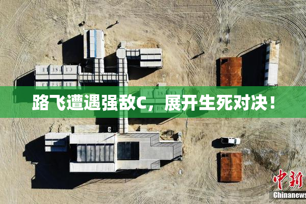 路飞遭遇强敌C，展开生死对决！