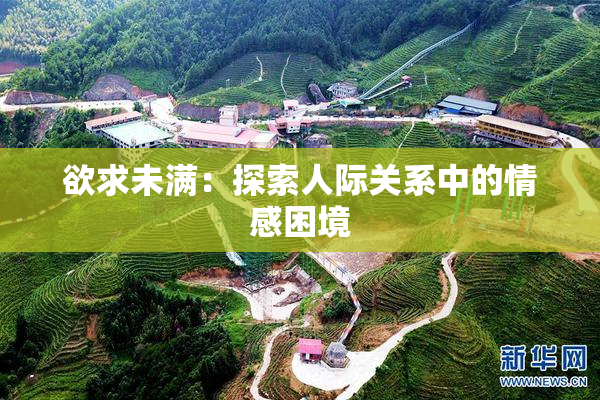 欲求未满：探索人际关系中的情感困境