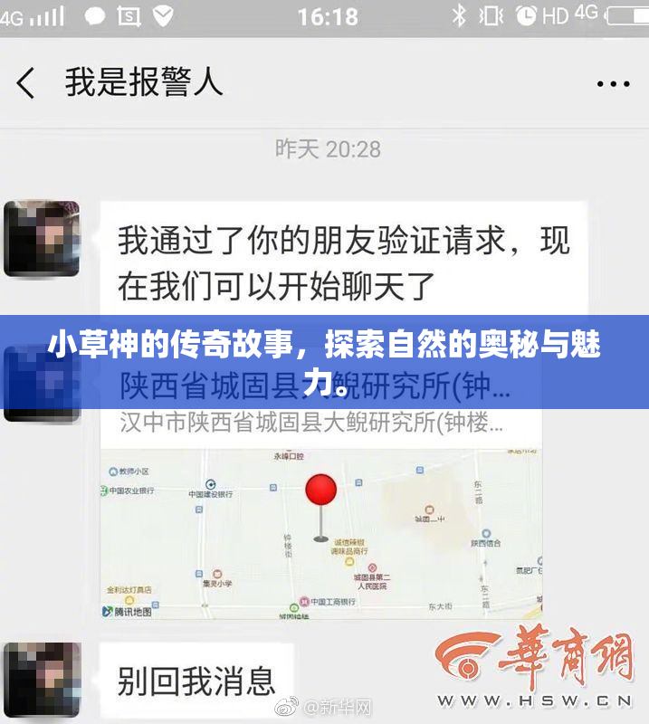 小草神的传奇故事，探索自然的奥秘与魅力。