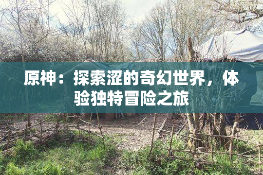 原神：探索涩的奇幻世界，体验独特冒险之旅