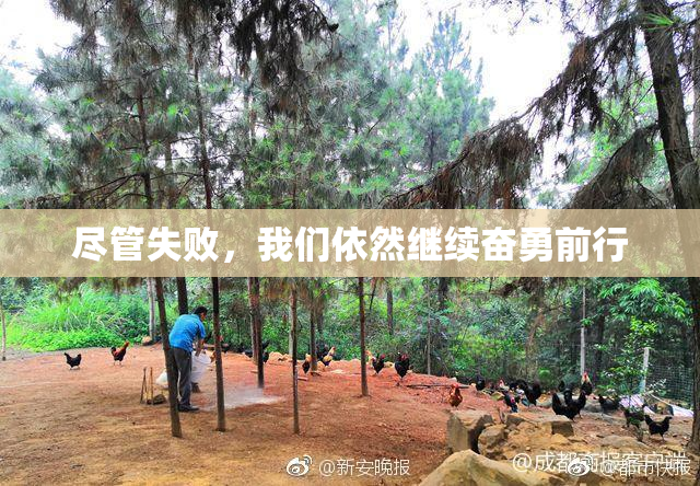 尽管失败，我们依然继续奋勇前行
