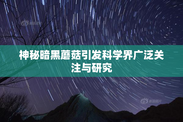 神秘暗黑蘑菇引发科学界广泛关注与研究