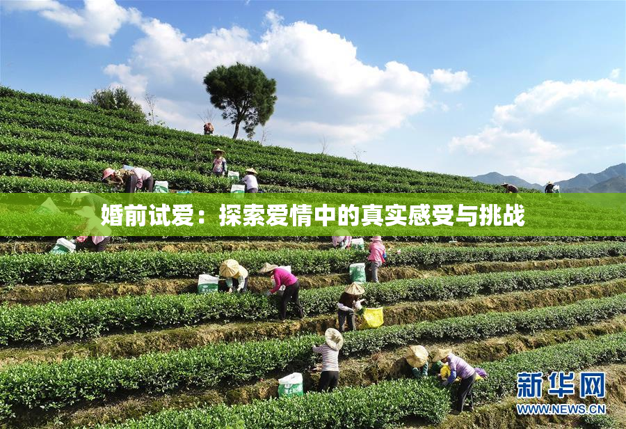 婚前试爱：探索爱情中的真实感受与挑战
