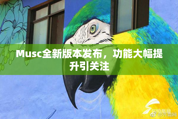 Musc全新版本发布，功能大幅提升引关注