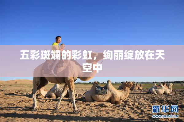 五彩斑斓的彩虹，绚丽绽放在天空中