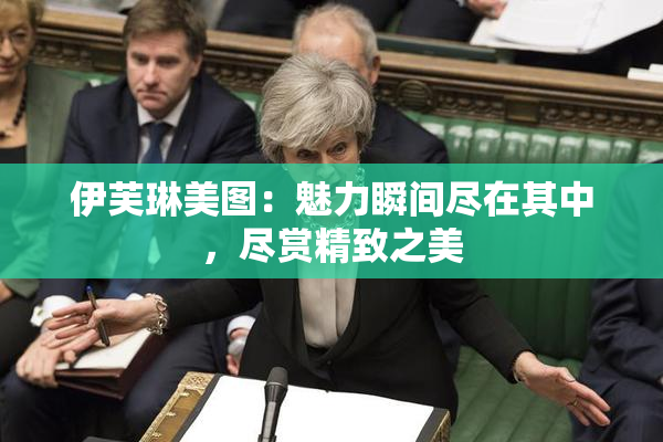 伊芙琳美图：魅力瞬间尽在其中，尽赏精致之美