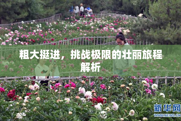 粗大挺进，挑战极限的壮丽旅程解析