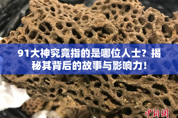 91大神究竟指的是哪位人士？揭秘其背后的故事与影响力！