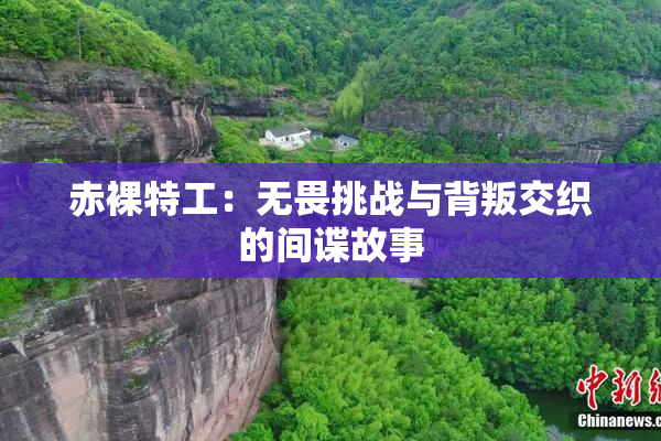 赤裸特工：无畏挑战与背叛交织的间谍故事