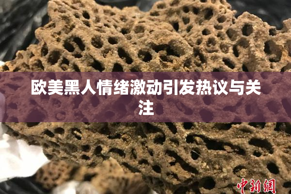 欧美黑人情绪激动引发热议与关注