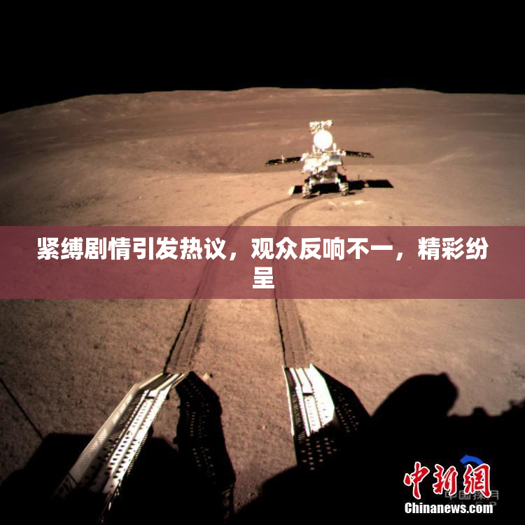 紧缚剧情引发热议，观众反响不一，精彩纷呈