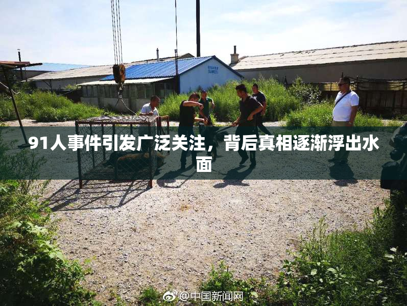 91人事件引发广泛关注，背后真相逐渐浮出水面