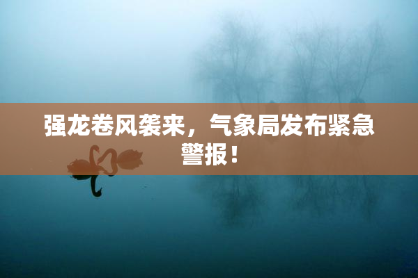 强龙卷风袭来，气象局发布紧急警报！