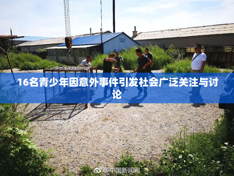 16名青少年因意外事件引发社会广泛关注与讨论
