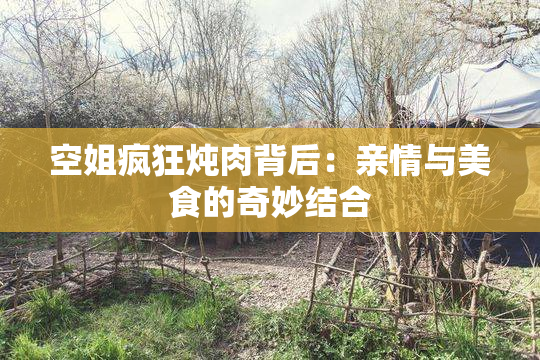 空姐疯狂炖肉背后：亲情与美食的奇妙结合