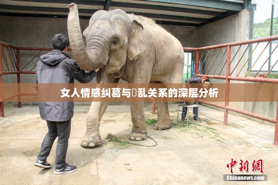 女人情感纠葛与婬乱关系的深层分析