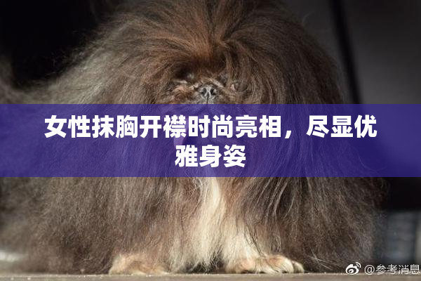 女性抹胸开襟时尚亮相，尽显优雅身姿
