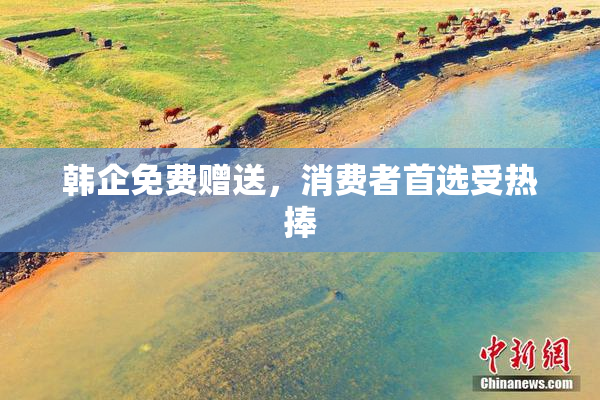 韩企免费赠送，消费者首选受热捧