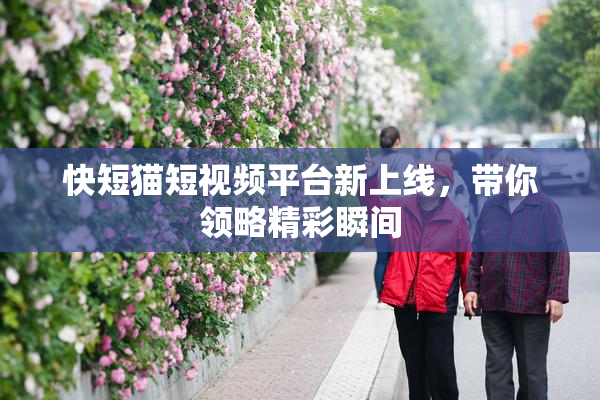 快短猫短视频平台新上线，带你领略精彩瞬间
